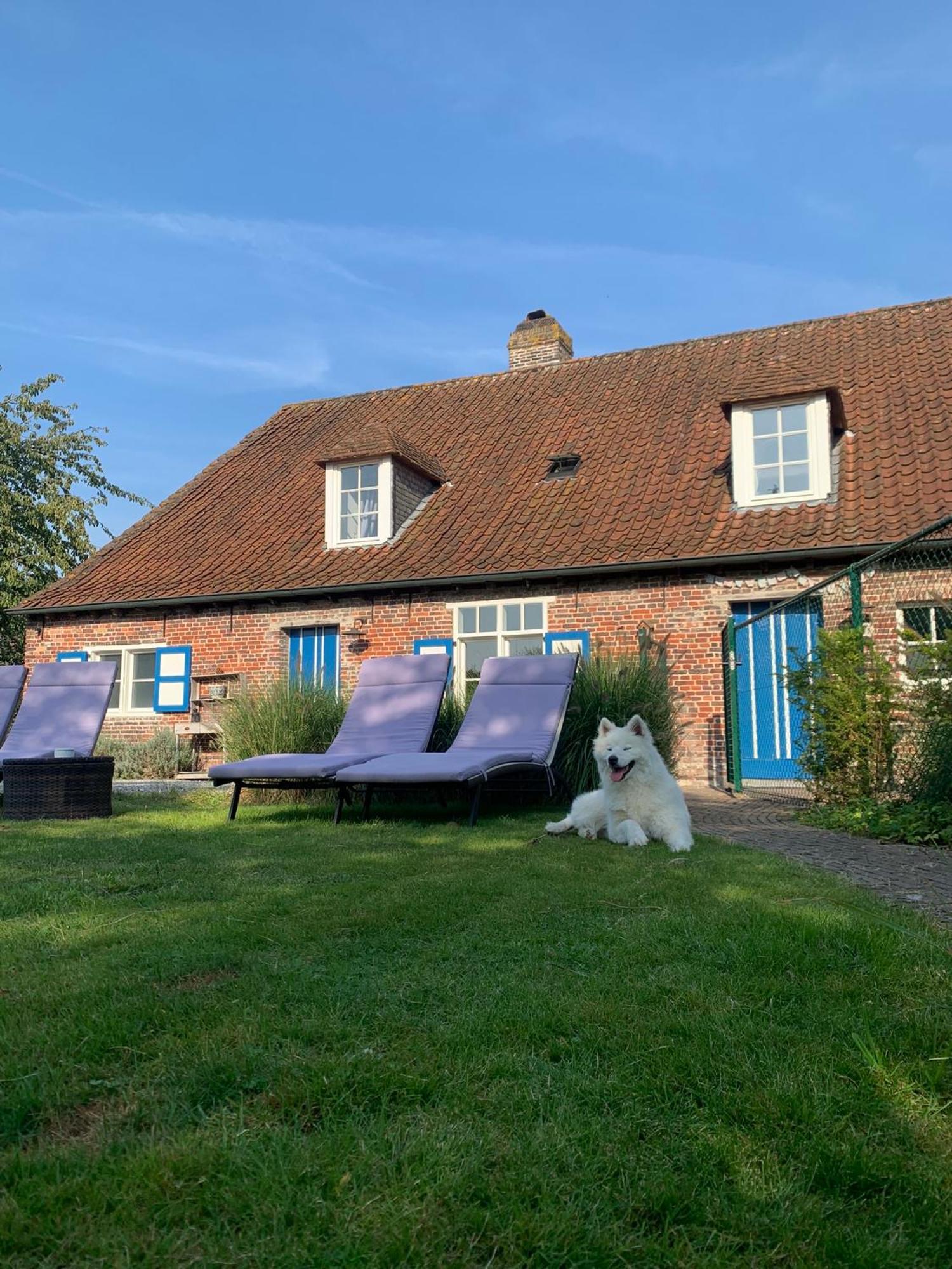 Hamiora Wellness B&B Deinze Exterior photo